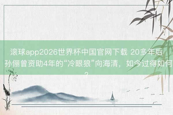 滚球app2026世界杯中国官网下载 20多年后,孙俪曾资助4年的“冷眼狼”向海清,如今过得如何?