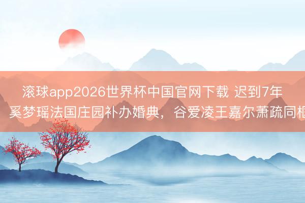 滚球app2026世界杯中国官网下载 迟到7年!奚梦瑶法国庄园补办婚典,谷爱凌王嘉尔萧疏同框