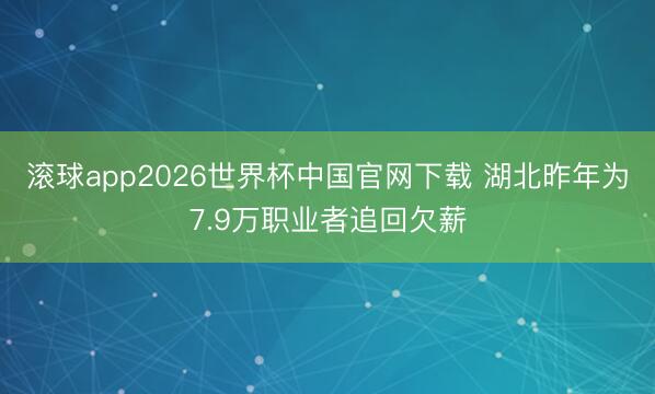 滚球app2026世界杯中国官网下载 湖北昨年为7.9万职业者追回欠薪