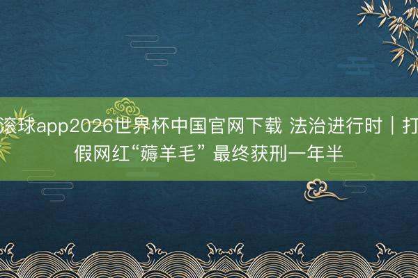 滚球app2026世界杯中国官网下载 法治进行时|打假网红“薅羊毛” 最终获刑一年半