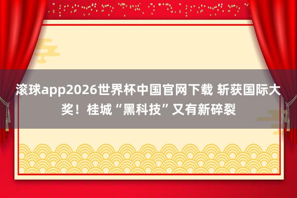 滚球app2026世界杯中国官网下载 斩获国际大奖!桂城“黑科技”又有新碎裂